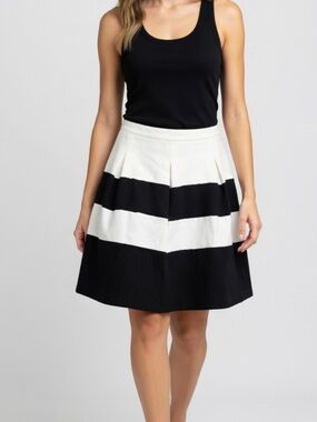 Express Colourblock Pleated A-Line Skirt